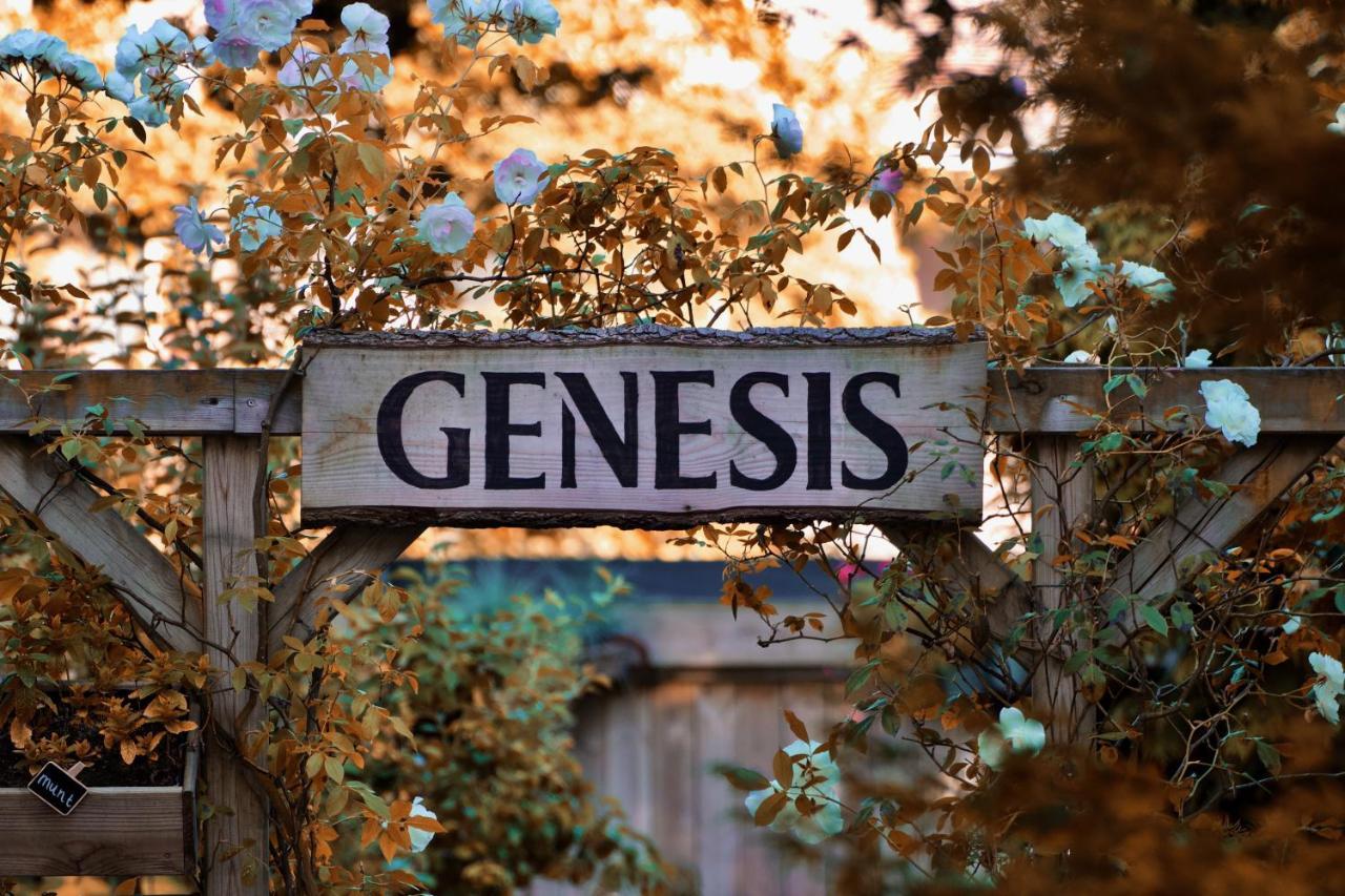 Genesis فورسخوتين المظهر الخارجي الصورة